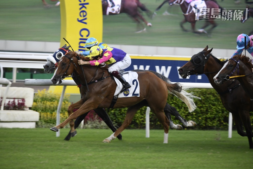 第四場四班千二米的「巴閉哥」(圖)，今季轉入石廄後曾跑入一席第五名，馬兒評分已下調不少。