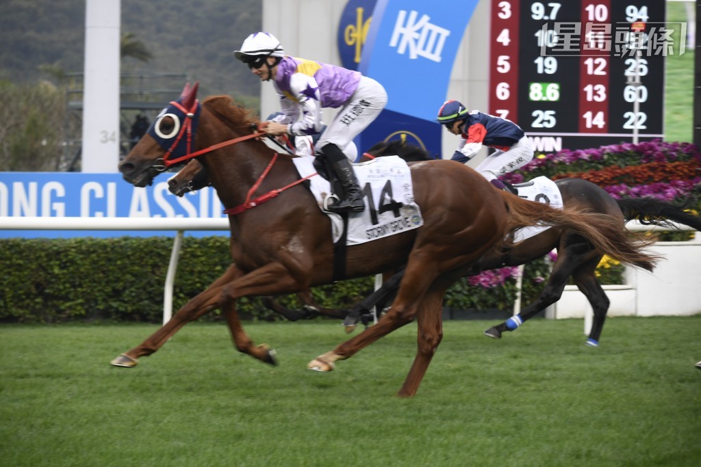 「紫荆盛势」(图) 上周日沙田赛事出争四岁马系列香港经典杯，跑平磅蚀分二十七分仍然可以取胜，稳取打吡入场劵。