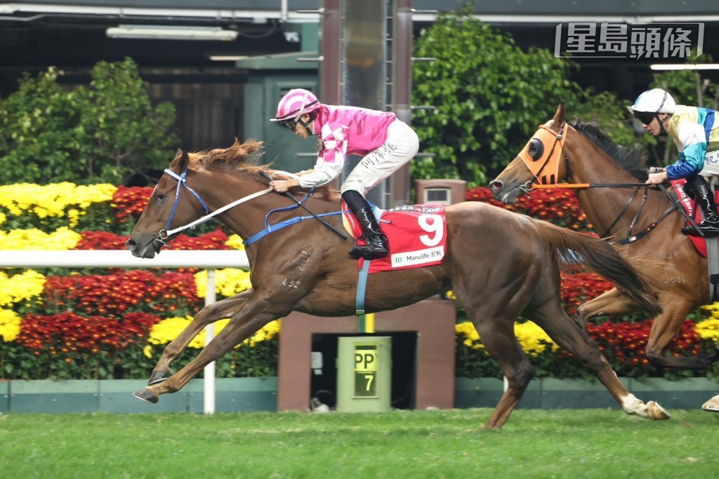 「好好戀愛」(圖) 是廖文濠名下養有的。