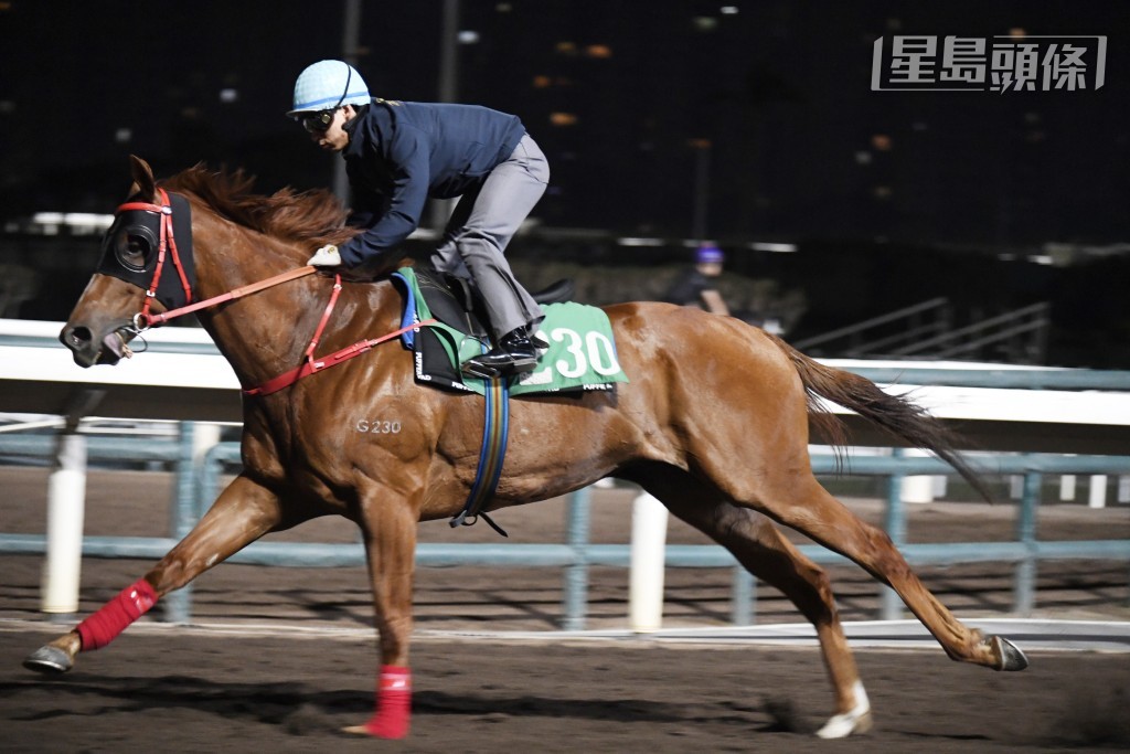 巫偉傑不止跟到實「佳福駒」，課後更捉住鞍上人蔡明紹傾了好耐。