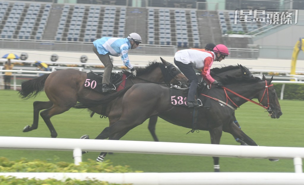 「優才」（J536) 最近一次由潘頓試閘掄元，明題顯有備而來，有力重敲勝利之門。