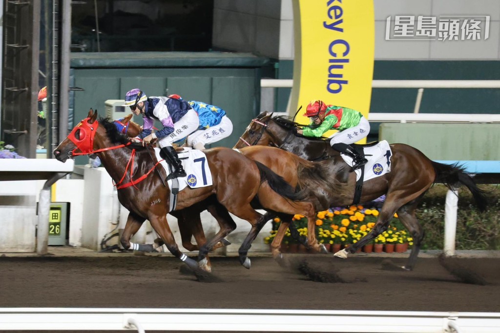 周三谷草賽事,何澤堯將為「勇敢孖寶」,「贏得自然」(7號) 及「良駒好友」主轡。 周三谷草賽事,何澤堯將為「勇敢孖寶」,「贏得自然」(7號) 及「良駒好友」主轡。