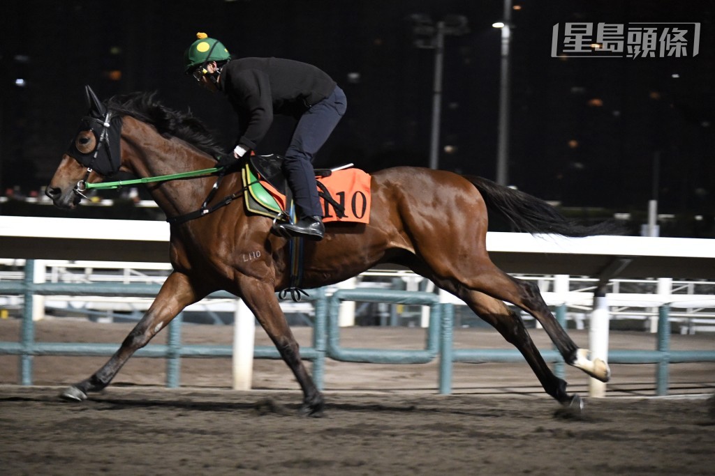 「極光之子」助手踱一圈，試來從容淡定，雙目有神氣宇軒昂，馬身收靚夠結實，試閘見好愈見吸引。