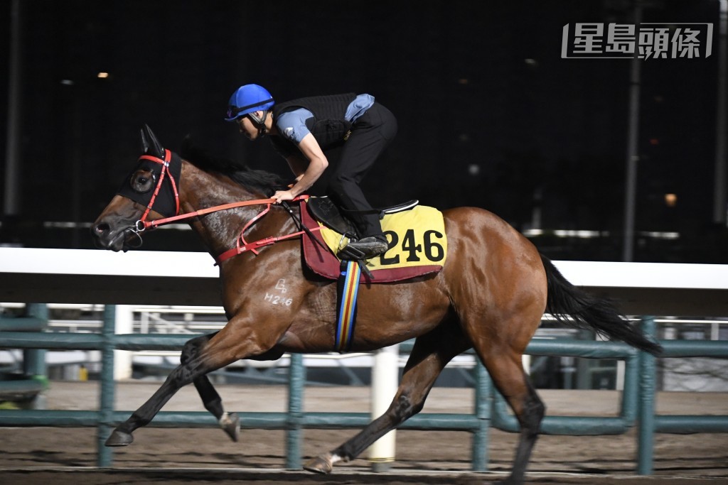 「包裝伯樂」今朝出跳健步如飛表現醒神，完全唔似久休馬