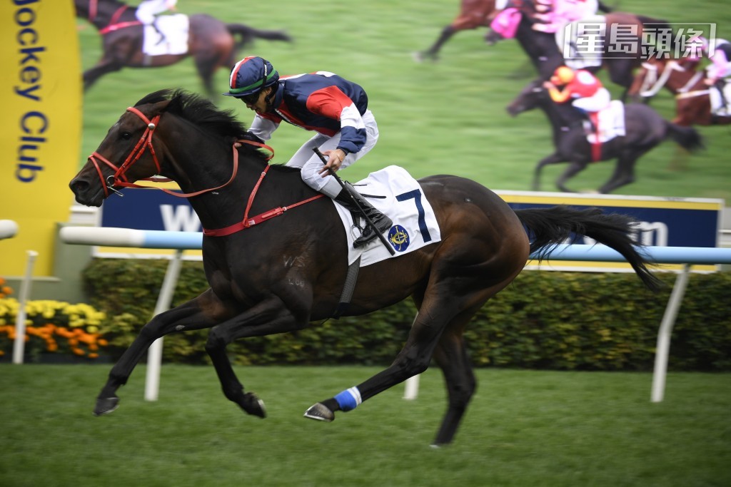 梁家俊周日除了伙拍罗厩的「数字天文」(图) 出战香港打吡大赛外，还为「名扬四海」、「发财先锋」、「超和平」及「斗志波」执缰。