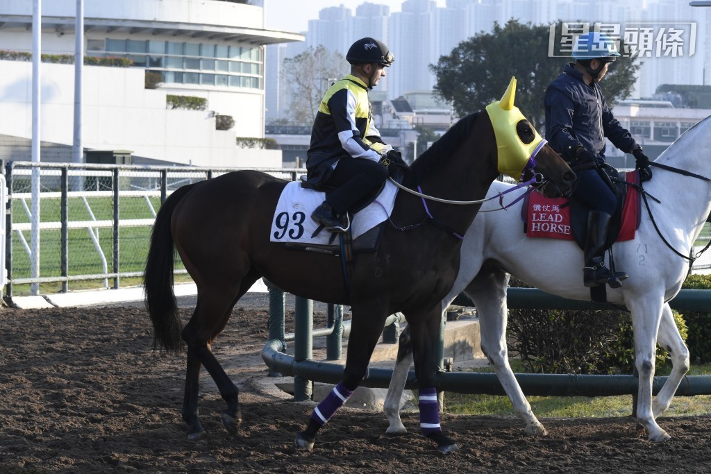 若數上一匹轉倉即勝賽駒，已是二三年十月二十九日的「領航神駒」，「星價」(圖) 今戰可否帶來突破？