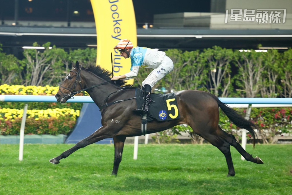 今期谷草賽事，蔣嘉琦的團體馬「佳登」(圖) 將出爭第八場，相信她會入場為愛駒打氣。