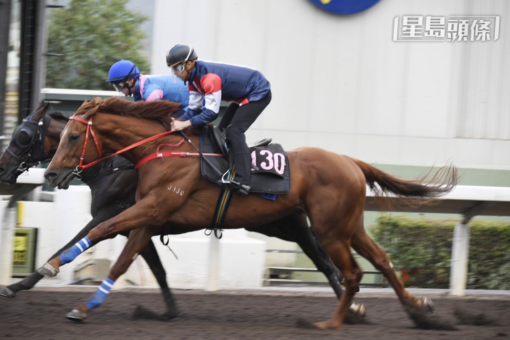 罗富全马房的「难以置信」，于本周日将出战香港打吡大赛配班德礼。