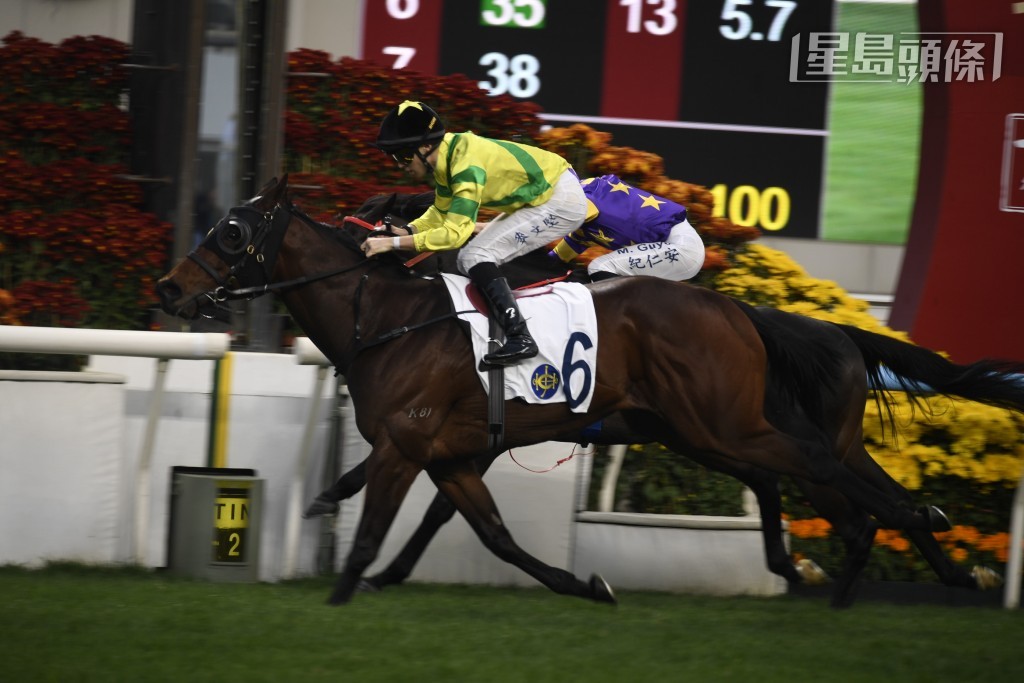 本賽日游達榮馬房派出新勝馬「同心同樂」(圖) 列陣尾場，能否取得好成績？