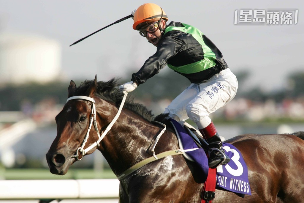施雅治伉儷在港養馬多年,最令馬迷津津樂道一定是曾經揚威日本的一代馬王「精英大師」(圖)。 施雅治伉儷在港養馬多年,最令馬迷津津樂道一定是曾經揚威日本的一代馬王「精英大師」(圖)。