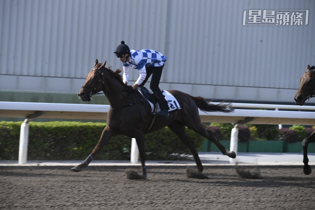 「飞雪神驹」近两场均跑入前列有奖金收，表现愈见进步。
