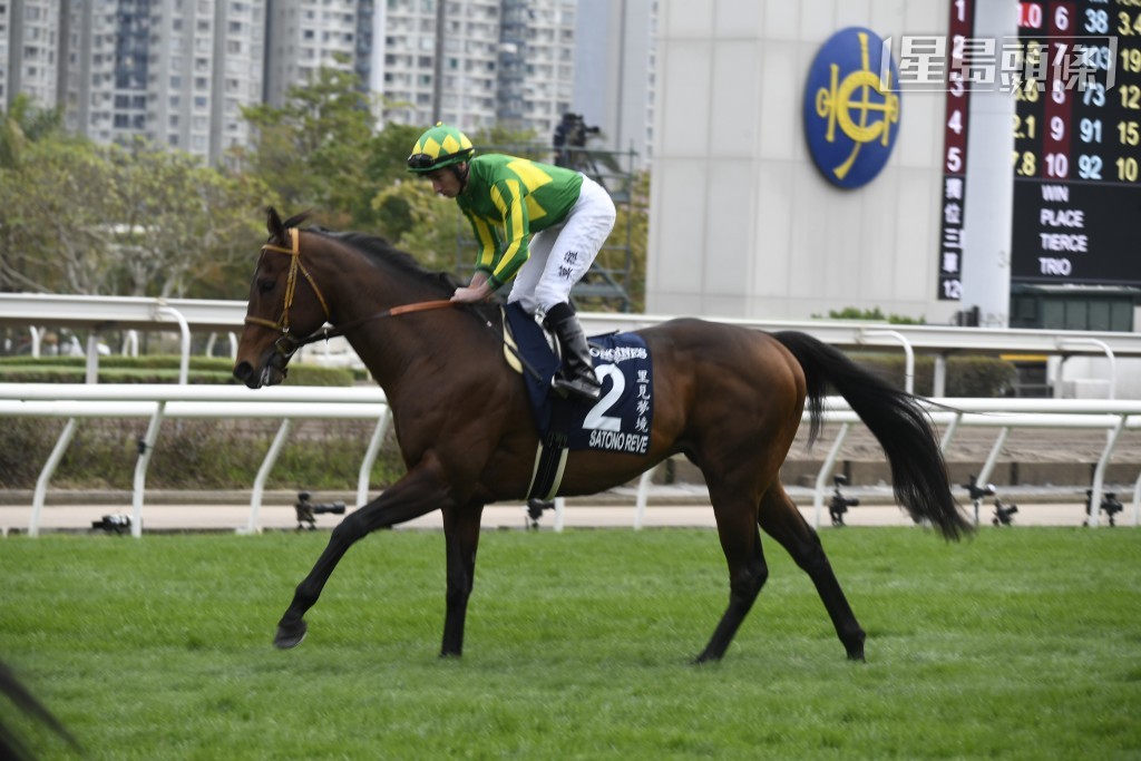 消息指「里见梦境」(图) 未来部署跟去年一样，出战主席短途奖后将转战英国，出战六月二十日雅士谷马场举行的一级赛女皇伊利沙伯二世禧年志庆锦标。