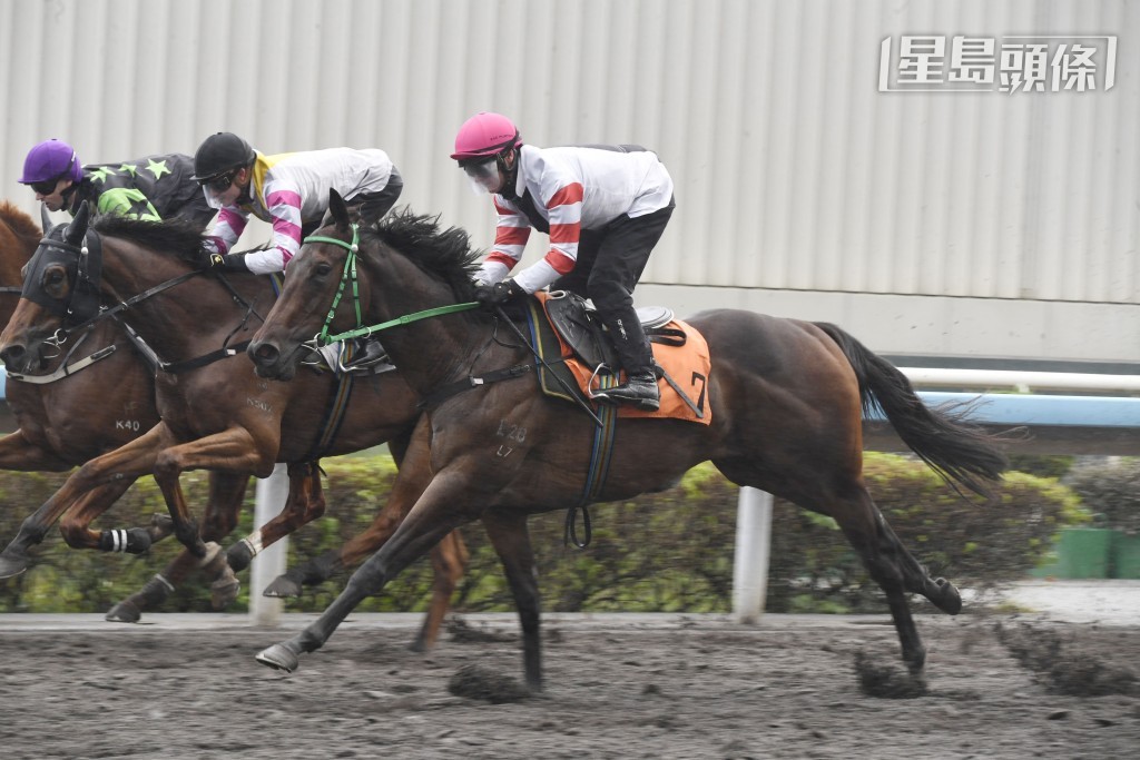 「佐治傳奇」(圖) 上仗初出被「大愛無彊」嚴重阻及，難得最後仍追入Q腳，反映質素極高。