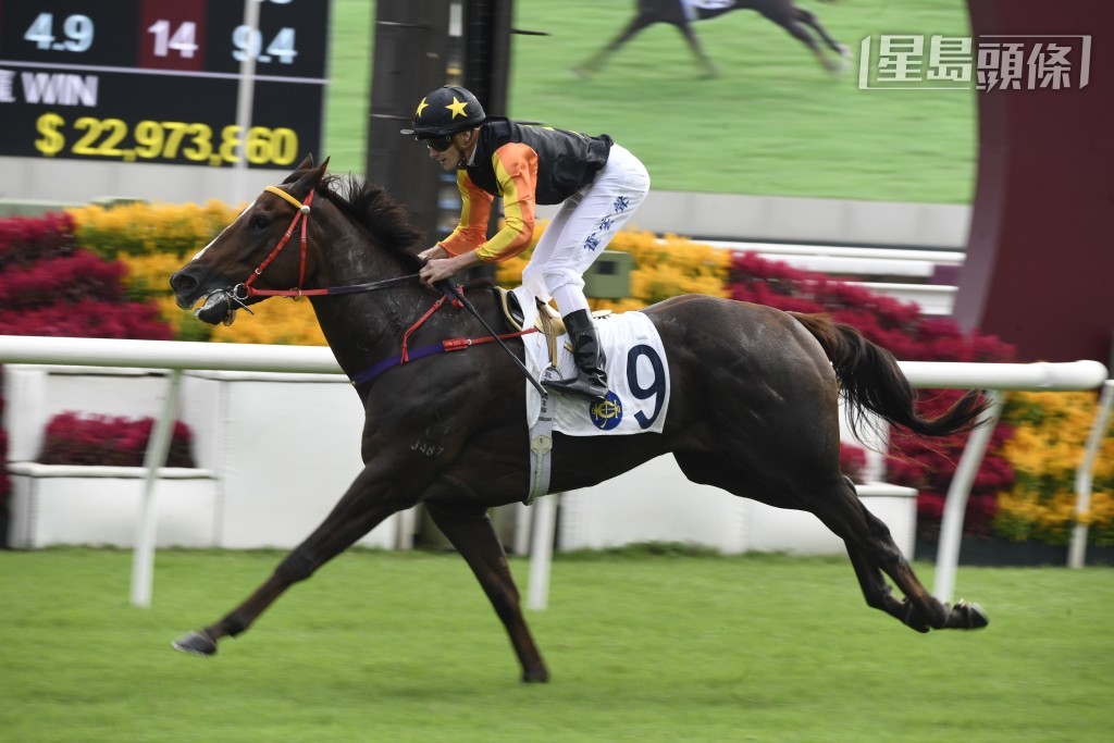 「喵喵怪」在巫偉傑的訓練下在港取得兩捷，其中一場頭馬是在港首戰即開齋。