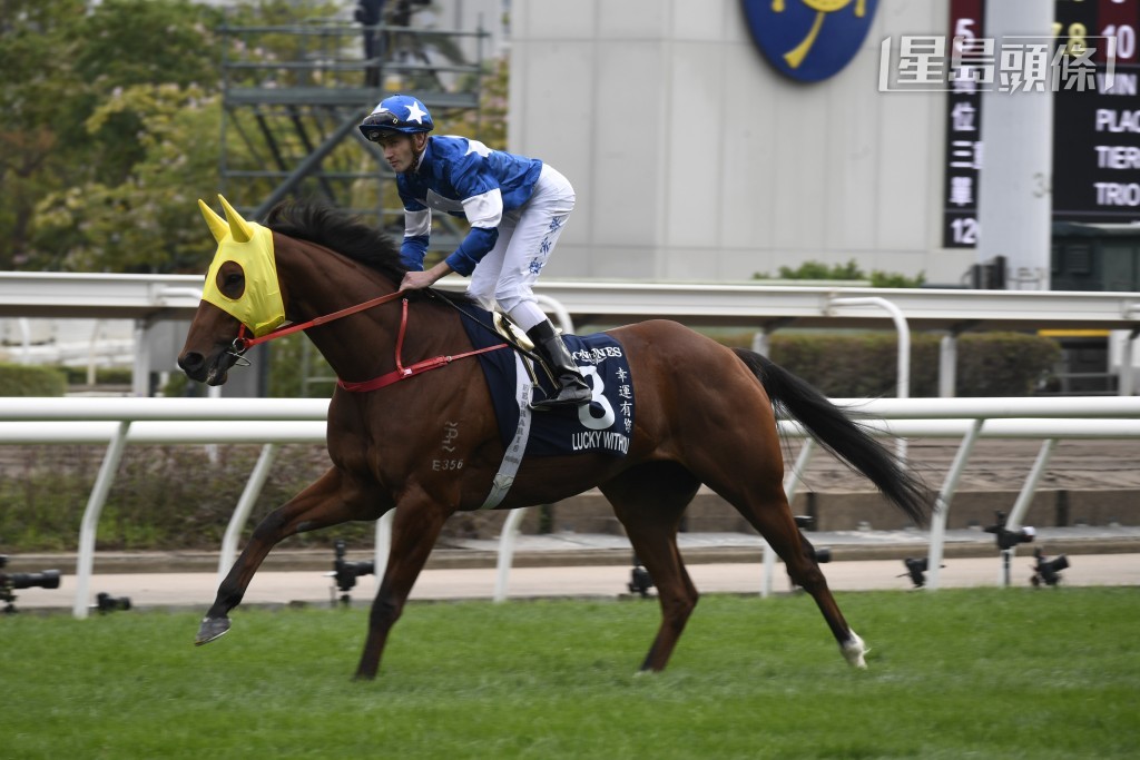 今日是TVB赛马日，全日重头戏第七场二班千二米TVB杯，罗富全派出「幸运有您」(图) 应战，今日是练者生日，如果赢马捧杯，自然是最佳生日礼物。