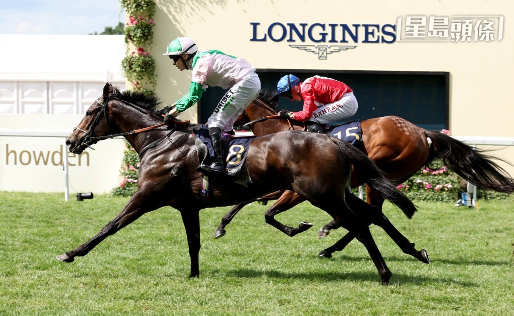 「樂於助人」迄今四十三戰十勝。 「樂於助人」迄今四十三戰十勝。