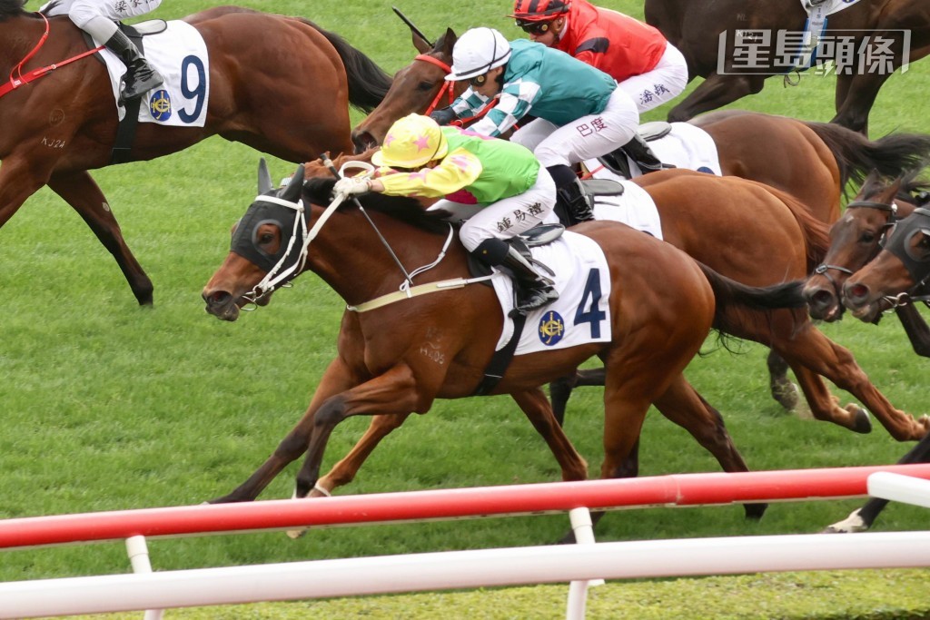 「勝萬金」今季勝出三場頭馬。 「勝萬金」今季勝出三場頭馬。