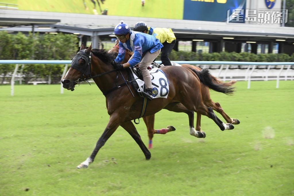 「機不可失」(圖) 試了六課大閘而臨，當中九月二十七日曾試跑馬地千二米閘，以第九名過終點，初出成績如何？