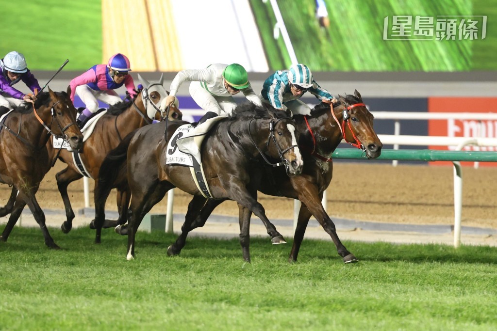 上月杜拜草地大賽擊敗香港馬王「浪漫勇士」(內) 的日本賽駒「神志勇進」(外),將於下月八日復出。 上月杜拜草地大賽擊敗香港馬王「浪漫勇士」(內) 的日本賽駒「神志勇進」(外),將於下月八日復出。