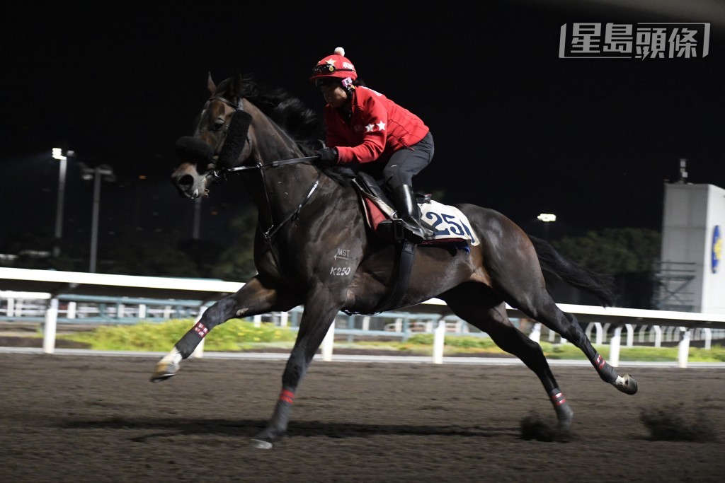 「迅意」助手跳一段，戴面箍及鼻箍，比前淡定步伐順暢，力度增強，狀態大有進展。