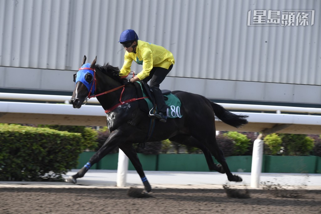 「金鑽貴人」則角逐1351米G2 草地短途錦標。