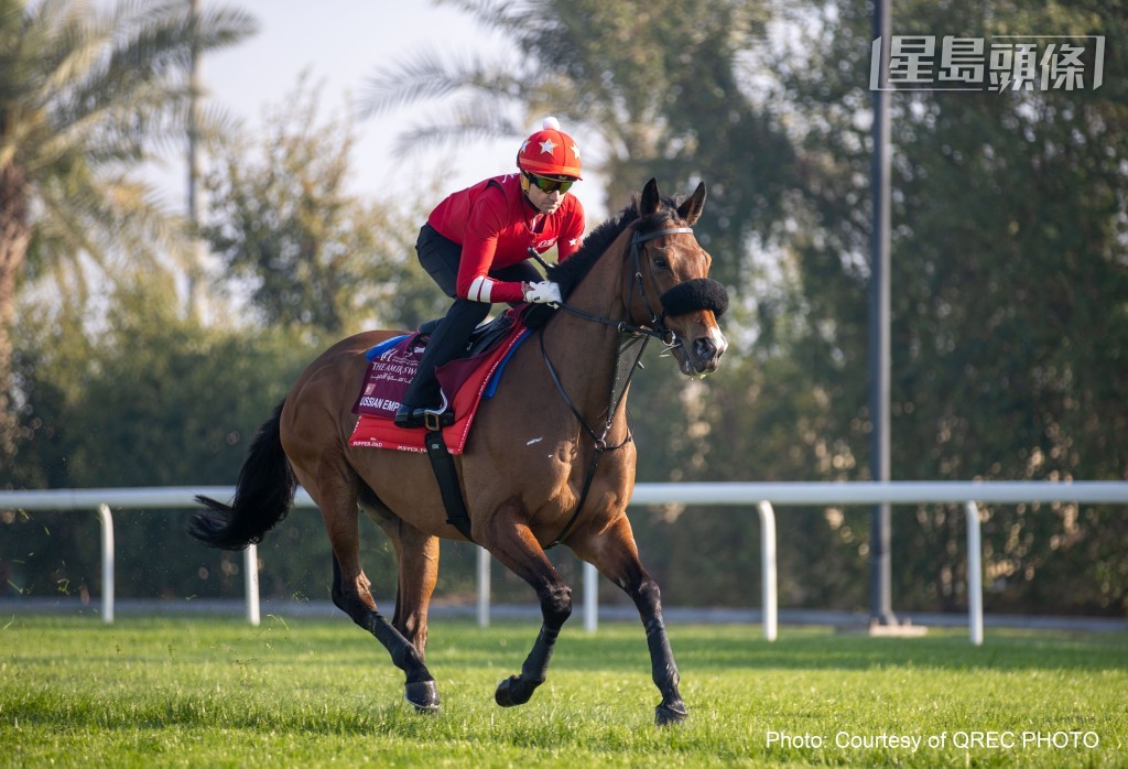 「將王」在雷恩馬場出操。 「將王」在雷恩馬場出操。
