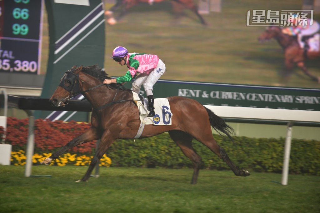 「友莹格」(图) 曾经在香港、日本和新加坡三地赢级际赛扬威，成功为港争光，名留青史。