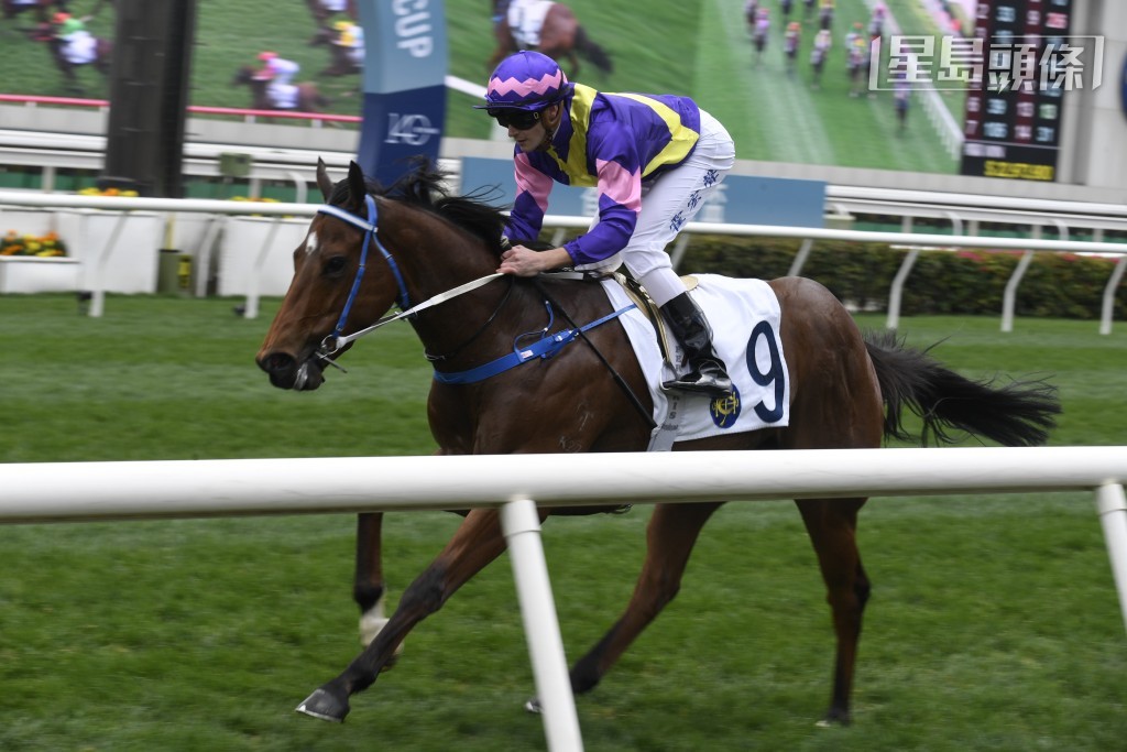 「快靓旺」在港一出即胜后，表现回落，不过上场跑第四名，走势渐见复苏中。