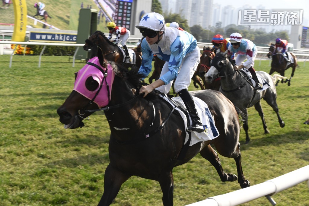 陈德华名下的「型酒杯」、「纯金酒杯」、「水晶酒杯」(图) 及团体马「独角兽」等都能接二连三交出头马。