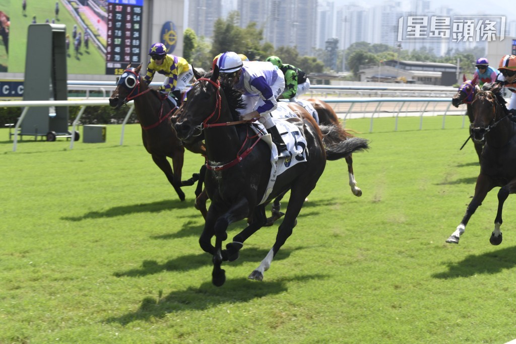 「官金騏」上場搏輸第二，今場續配潘頓捲土重來，力求補中。