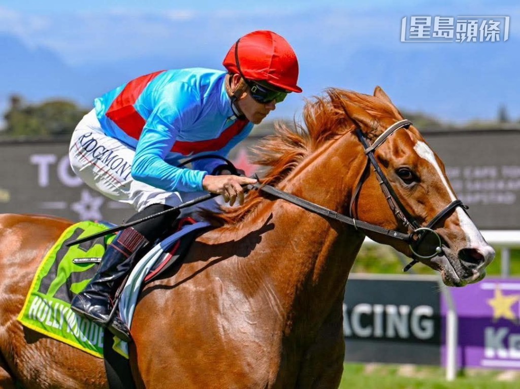  「加利斯」現年四歲，服役以來出賽十三次，取得四冠四亞一季。照片來源：Chase Liebenberg Design & Photography