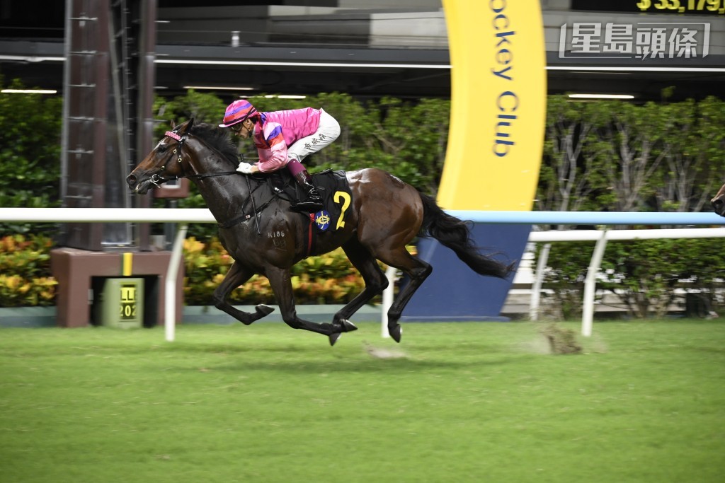  今期廖康銘依重霍宏聲、巴度及希威森出擊，「蓮冠皇」(圖) 續配希威森。