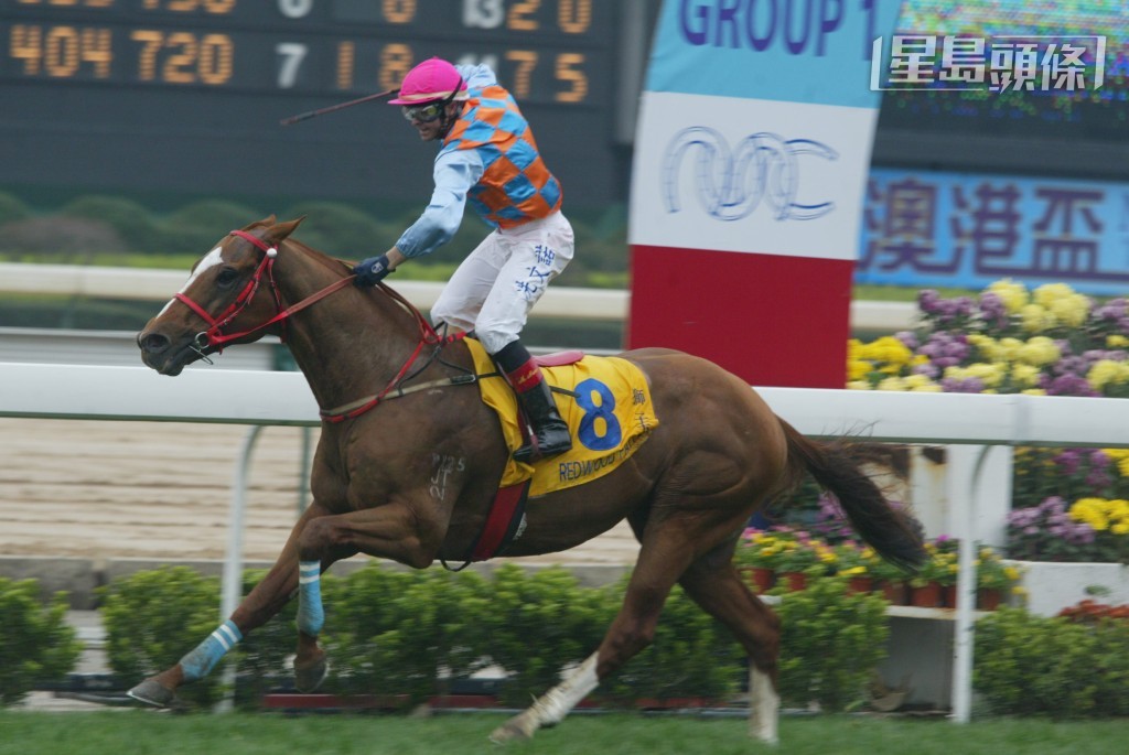 鄭榕彬旗下的「獅子玉」曾贏出○六年澳港盃。