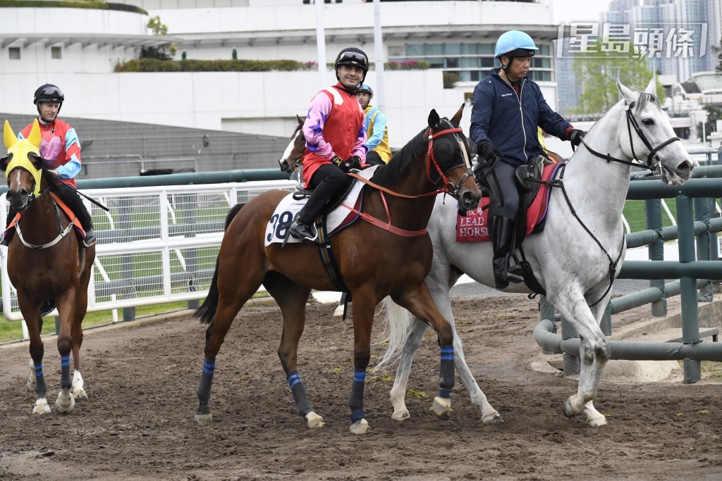 在同日紀仁安告別戰中，他將策騎四駒，其中在第二場四班千四米的蔡廄「開心菓」(圖)，馬主好酒好菜團體成員包括「紫荊」系馬主兼前亞姐冠軍李妮。