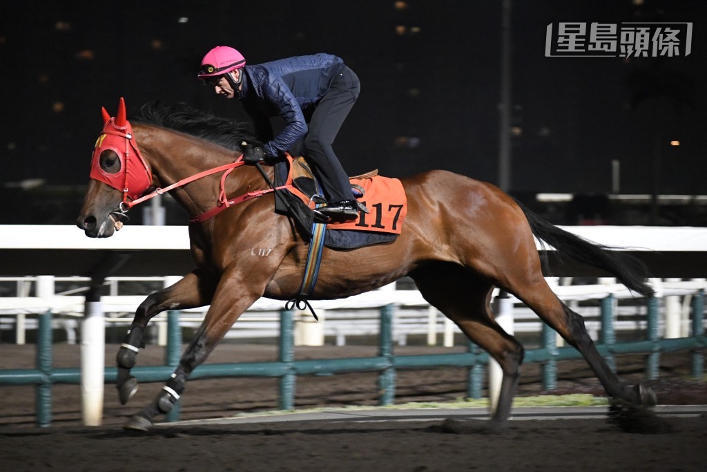 潘顿相当神气，换了一顶新的粉红色帽笠操马，首匹出跳马「侦探传奇」更成为焦点，上仗初出表现一般，但潘一哥肯执缰已有睇头，仲要一连两课快跳亲身考验，可见重视。