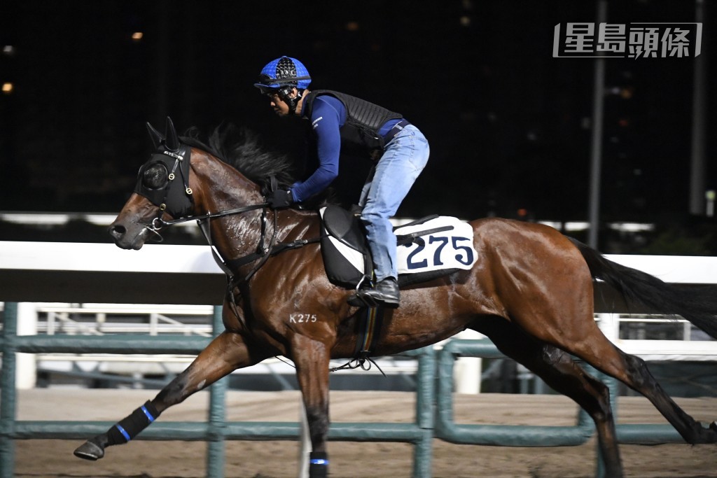 昨朝「非凡時刻」試跑亦吸引不已，除了交出好走勢外，阿廖更走去公眾席睇馬，全程眼都唔眨。