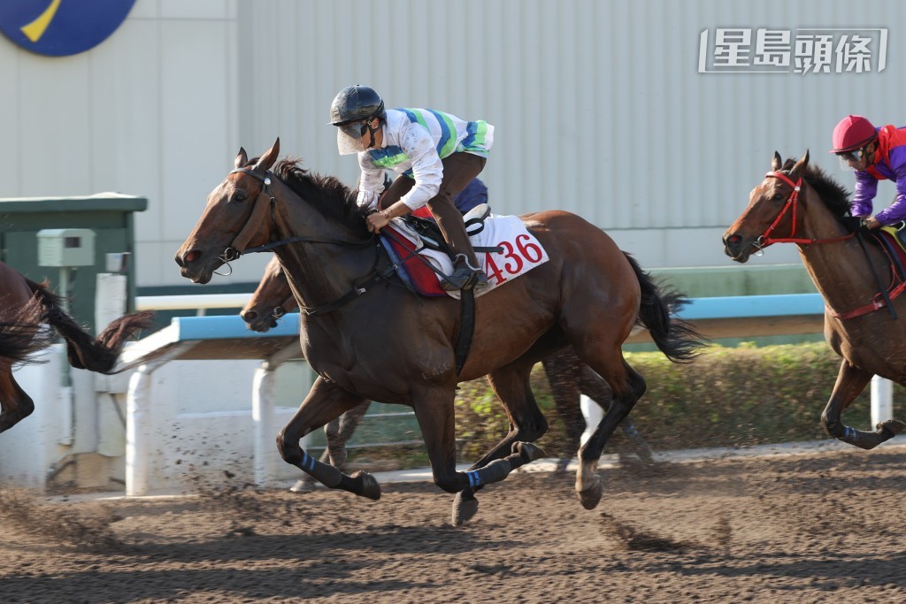 上季香港三冠王「遨遊氣泡」正積極提升狀態。