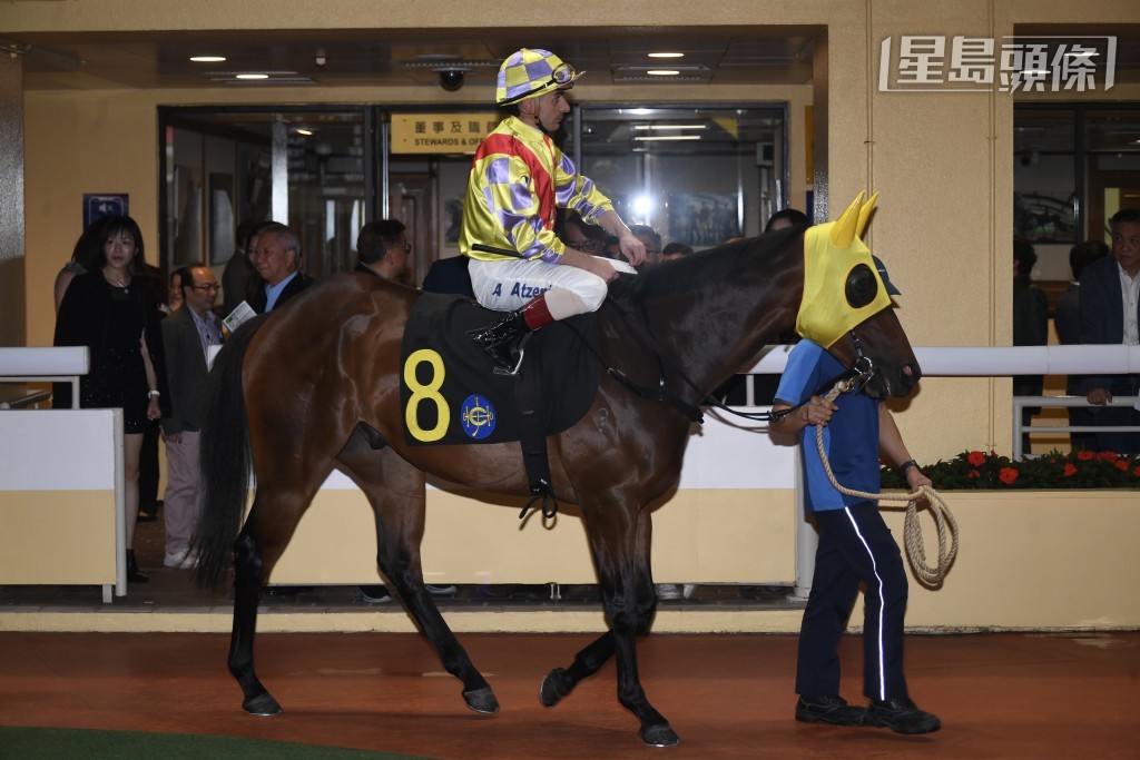 同主馬「好多利高」則出戰第三場，也是由伍鵬志訓練，且看這兩匹「利高」系馬能否交出驚喜。