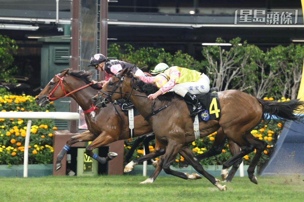 上周三谷戰「一起美麗」贏馬兼捧走香港欖球總會盃。