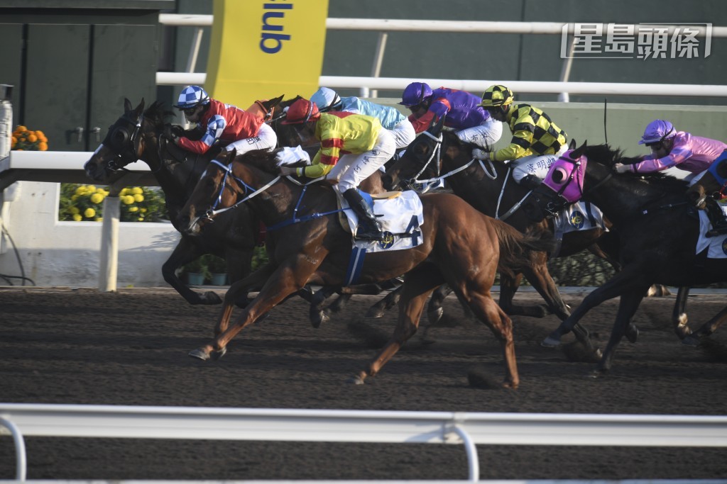 「好拍檔」(紅衫)前仗於泥地同程僅敗於「喜至寶」(外)。