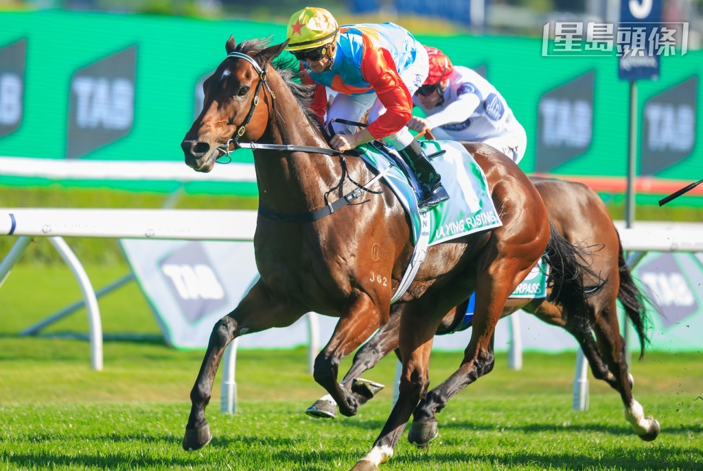 香港馬王兼全球最高分短途馬「嘉應高昇」,將會在十一檔起步,力爭成為第二匹連續兩屆贏得這項總獎金高達二千萬澳元的草地千二米一級賽。 香港馬王兼全球最高分短途馬「嘉應高昇」,將會在十一檔起步,力爭成為第二匹連續兩屆贏得這項總獎金高達二千萬澳元的草地千二米一級賽。