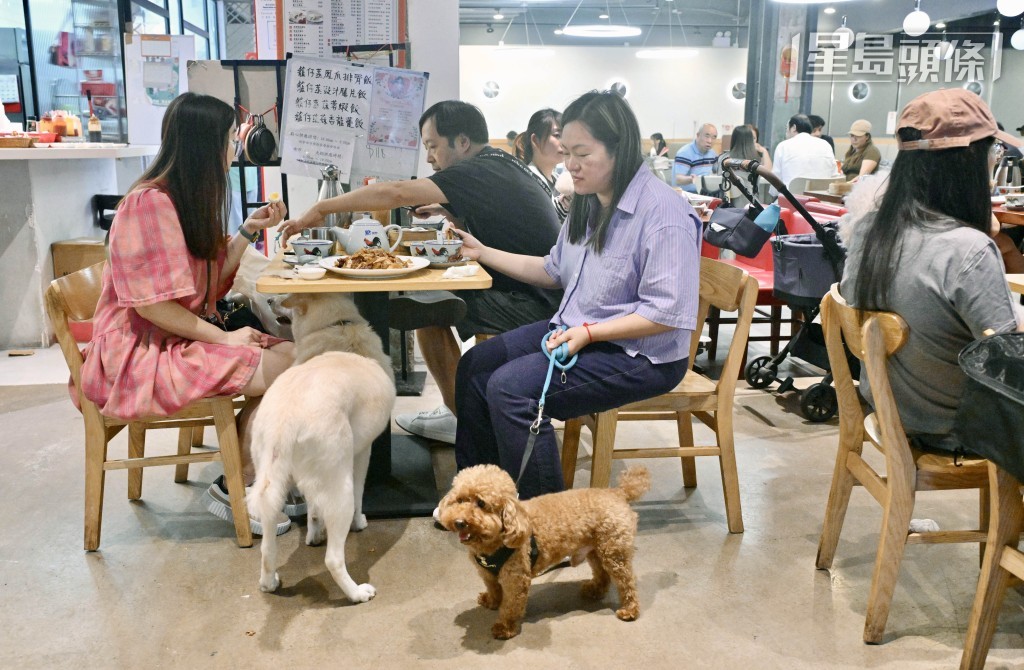 容許狗隻進入食肆牌照今日( 8日 )截止申請。資料圖片 容許狗隻進入食肆牌照今日( 8日 )截止申請。資料圖片