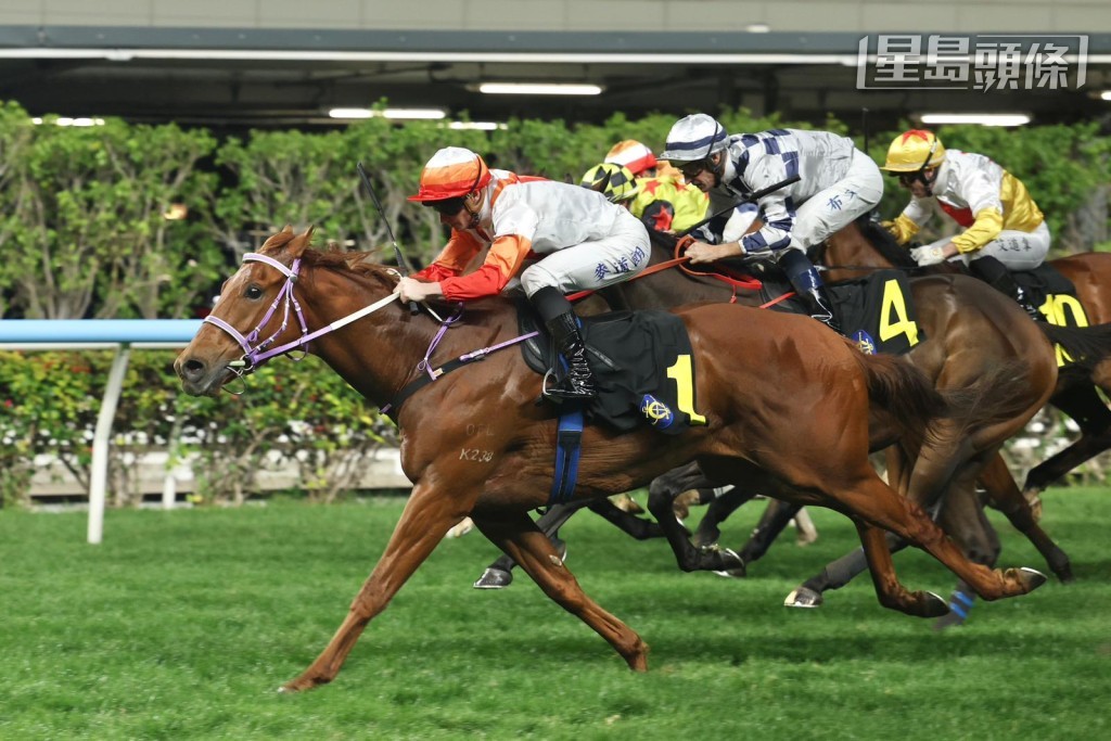 「臻至辰」(圖) 前一場在麥道朗胯下跑谷草千二米,成功克服排十二檔的劣勢取得在港第二場頭馬。 「臻至辰」(圖) 前一場在麥道朗胯下跑谷草千二米,成功克服排十二檔的劣勢取得在港第二場頭馬。