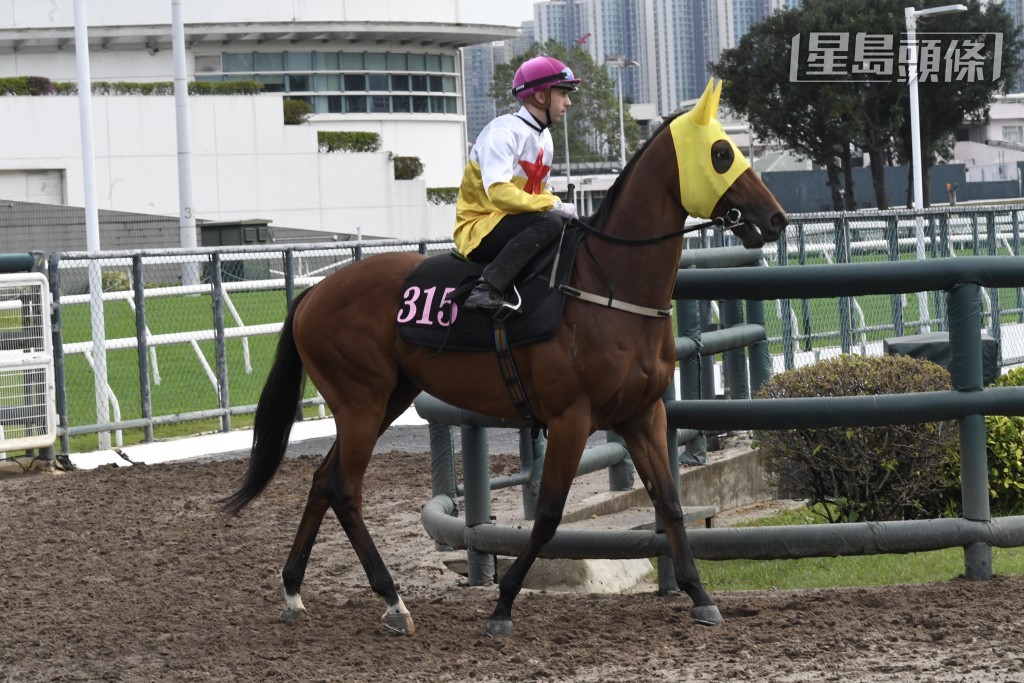 第四场 13号「文明福星」改由金诚刚策骑。