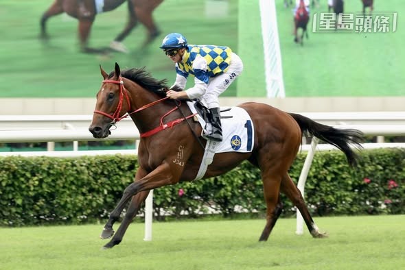 文家良訓練的「錶之星河」在港五冠兩亞，近兩戰在潘頓胯下打疊連捷。