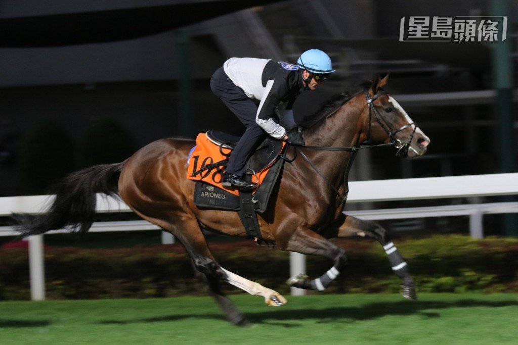 潘顿今早策骑「紫荆传令」跳草地,游达荣全程跟到实,十分紧张。 潘顿今早策骑「紫荆传令」跳草地,游达荣全程跟到实,十分紧张。