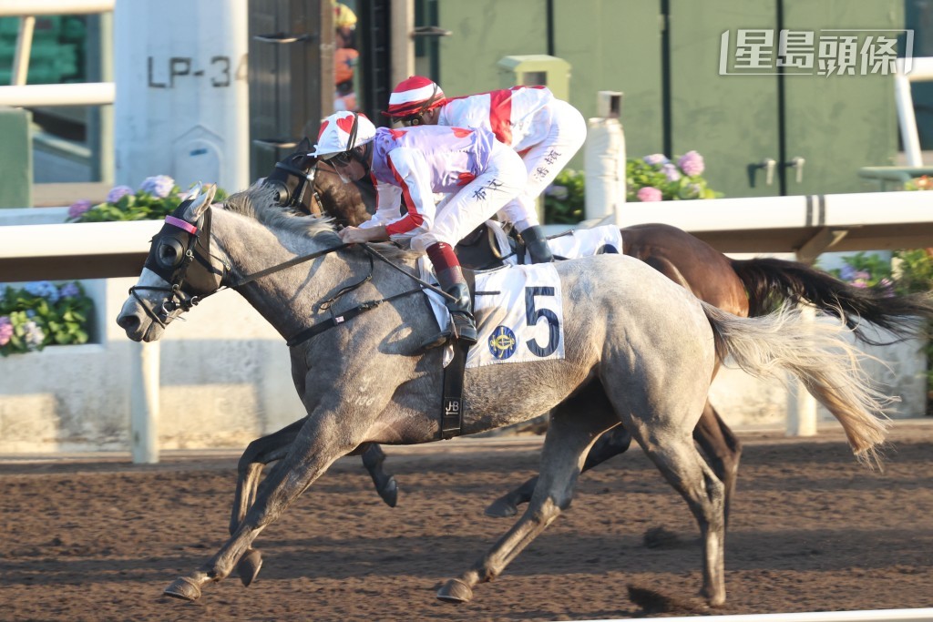 「精英雄心」迄今在港取得兩捷。