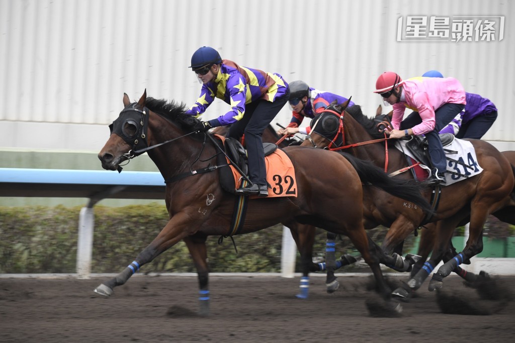 希威森指「高高至高」(圖) 目前進度良好，跑千六米定合適，只要體力及時回復，便有望殺入戰團，爭取最佳位置。