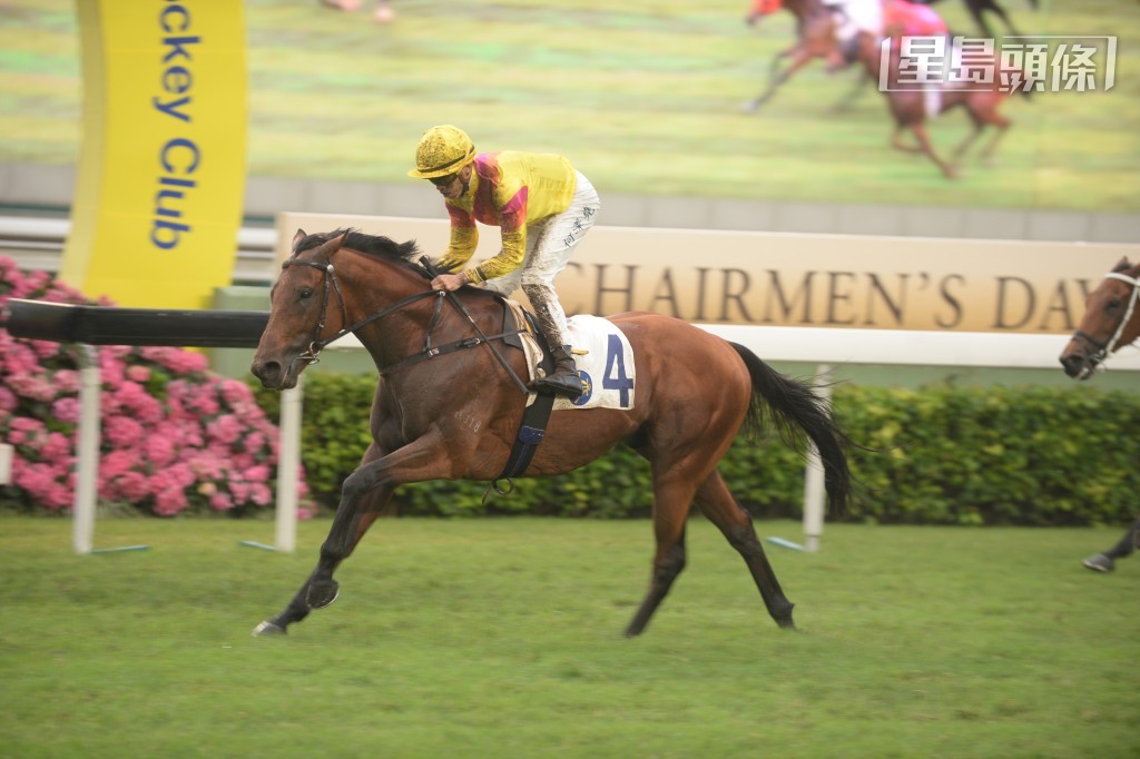 何志豪是前三级赛盟主「好好玛」马主之一。