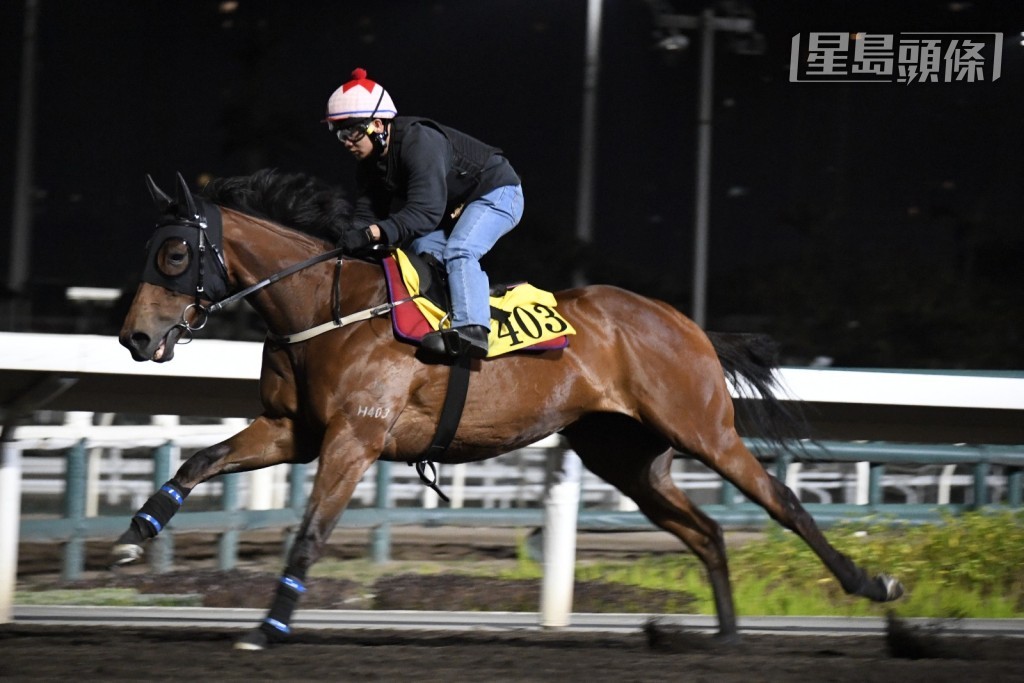 「飛輪霸」（k320)、「時間寶」(h403) (圖) 和「日馳千里」(j143)今早齊齊在大圈出試。